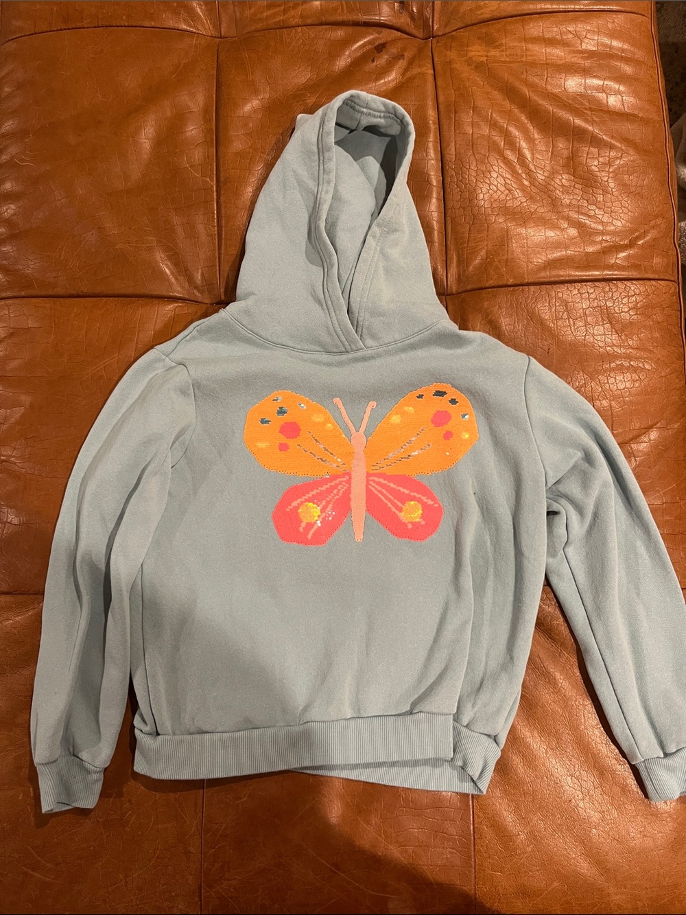 H&M Light Blue Hoodie with Orange and Pink Butterfly